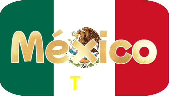 T33 Logo